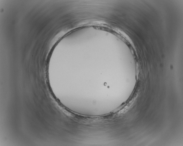 X0000067520997200605051850