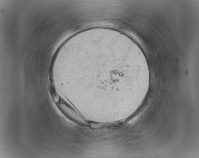 X0000067520999200605051850