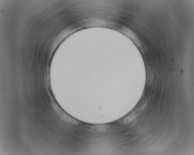 X0000067521000200605051850