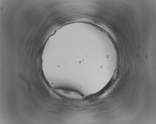 X0000067521001200605051850