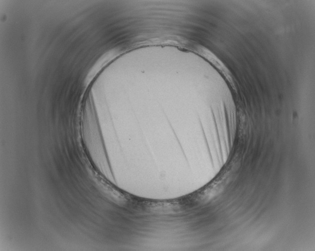 X0000067521002200605051850