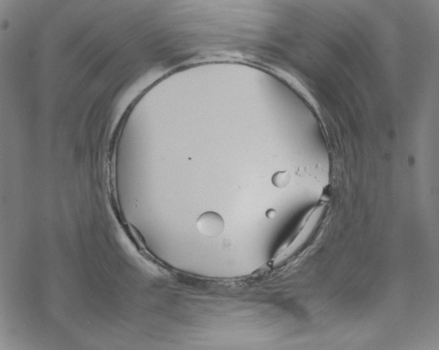 X0000067521003200605051850