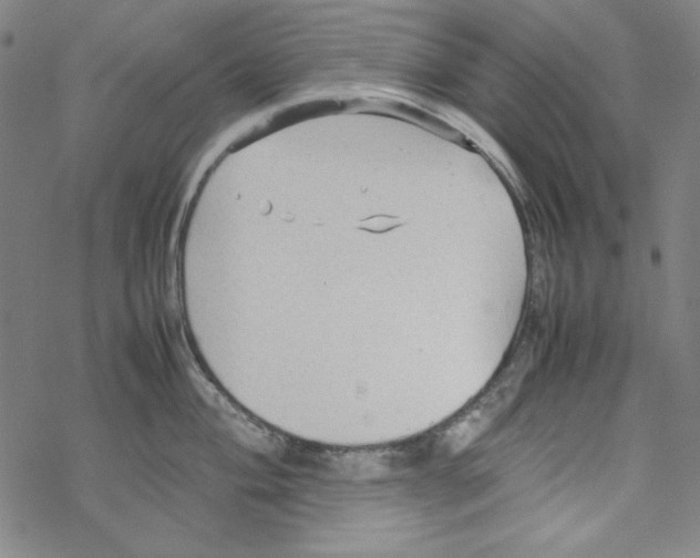 X0000067521004200605051850