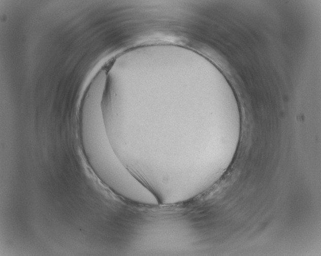 X0000067521008200605051850