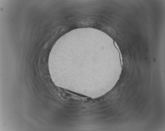 X0000067521009200605051849