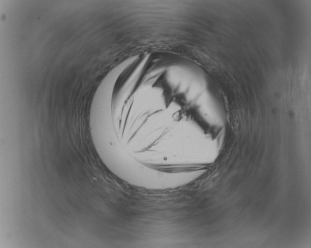 X0000067521010200605051849