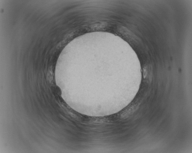 X0000067521011200605051849