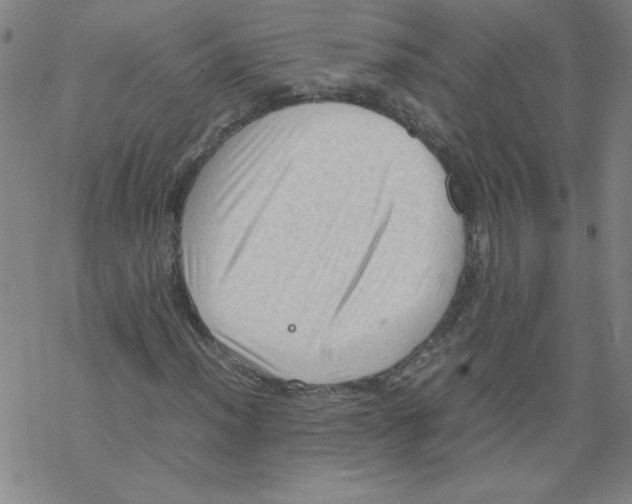 X0000067521012200605051849