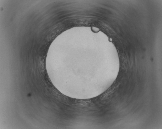 X0000067521013200605051849