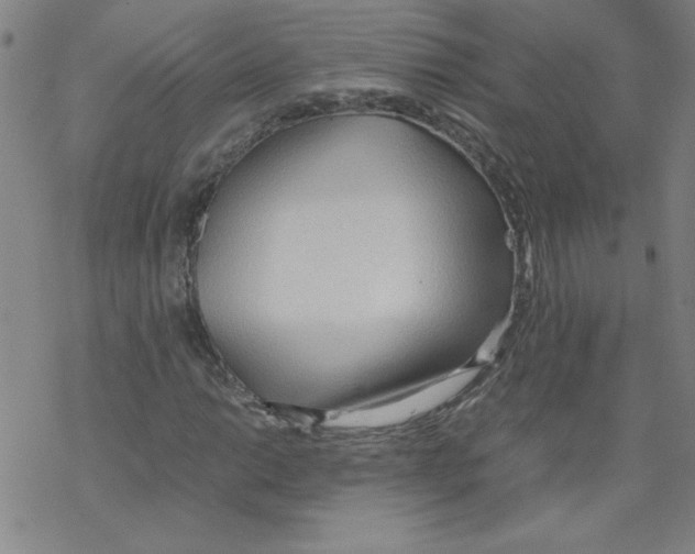 X0000067521014200605051849