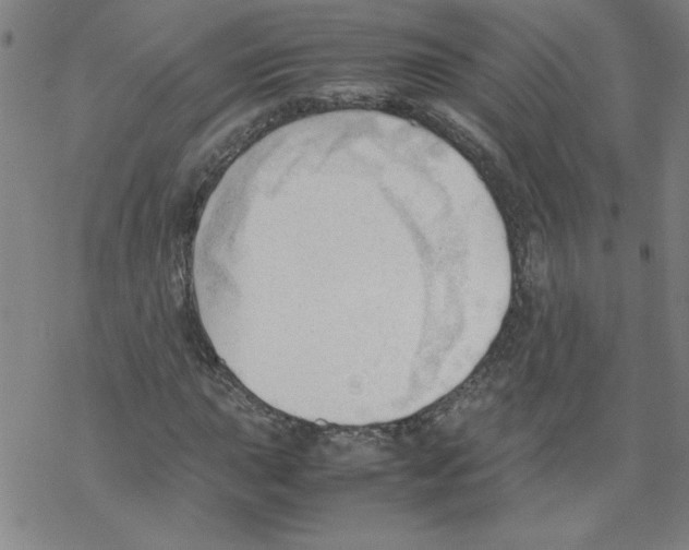 X0000067521015200605051849