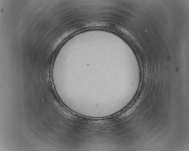 X0000067521017200605051849