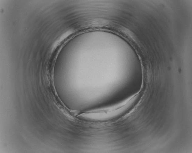 X0000067521018200605051849