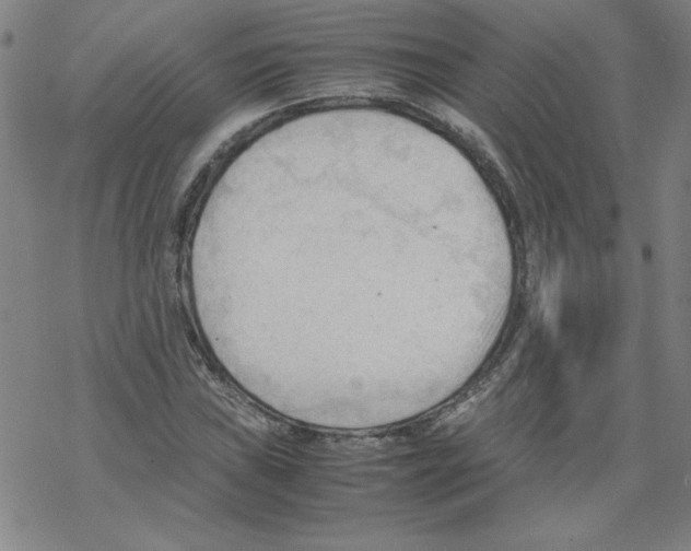 X0000067521019200605051849