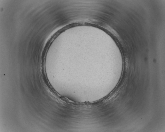 X0000067521020200605051849