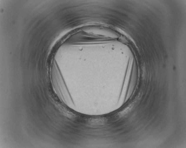 X0000067521021200605051849