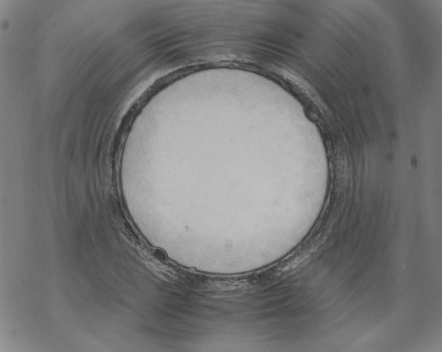 X0000067521023200605051849