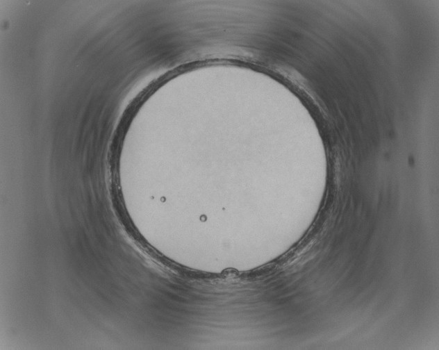 X0000067521024200605051849