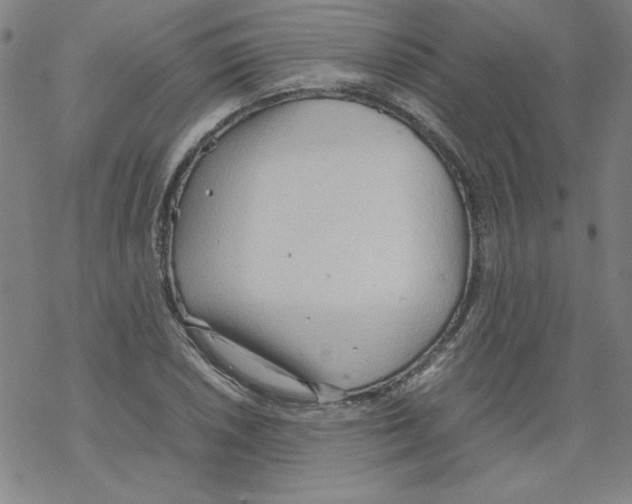 X0000067521026200605051849