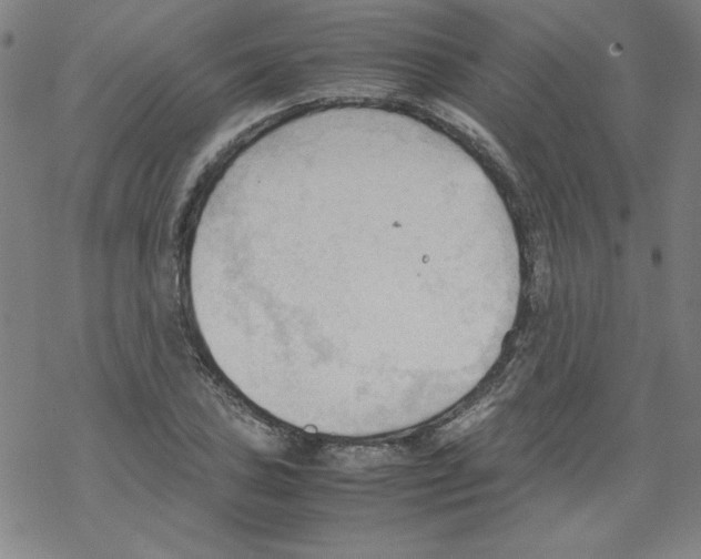 X0000067521027200605051849