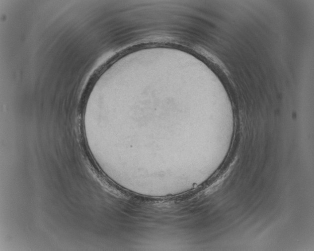 X0000067521029200605051849