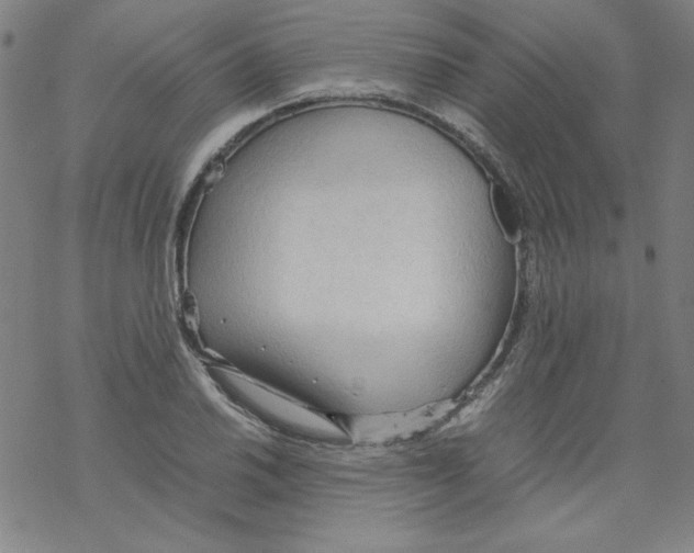 X0000067521030200605051849