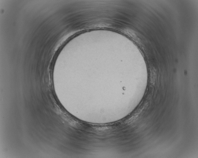 X0000067521031200605051849