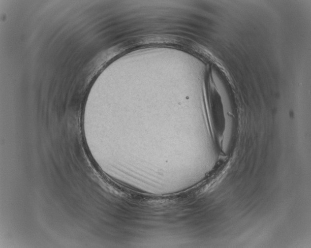 X0000067521033200605051849