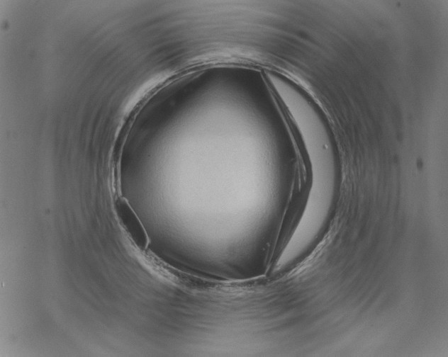 X0000067521034200605051849