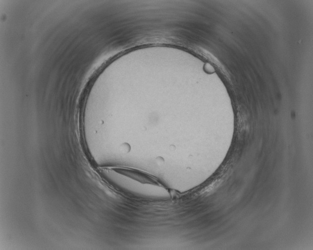 X0000067521035200605051849