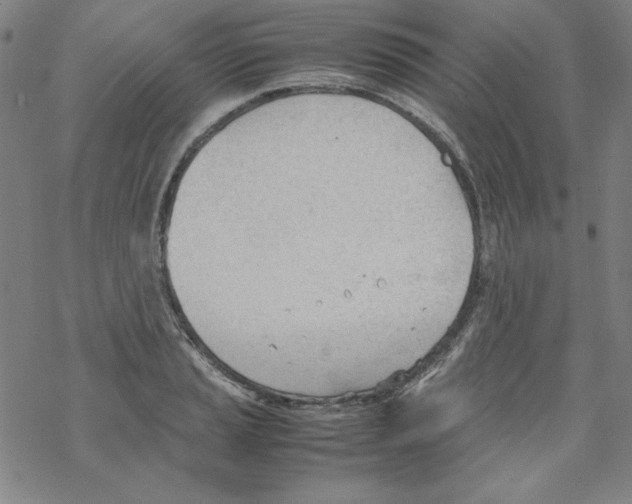 X0000067521037200605051849