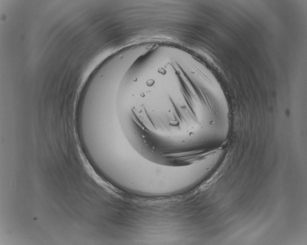 X0000067521038200605051849