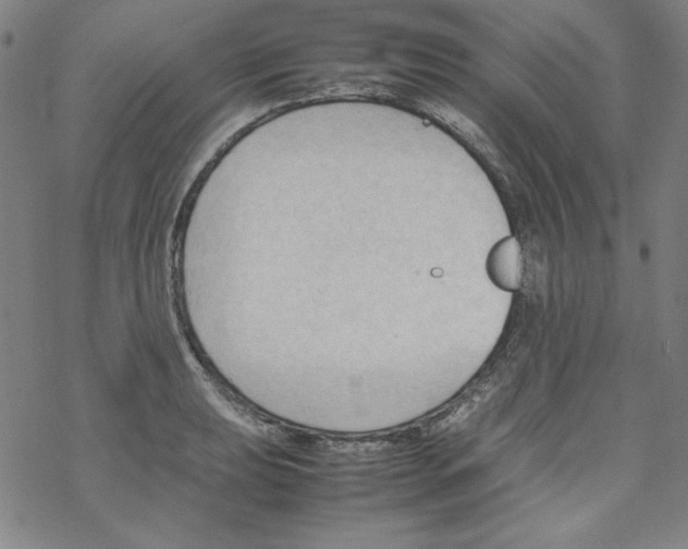 X0000067521039200605051849