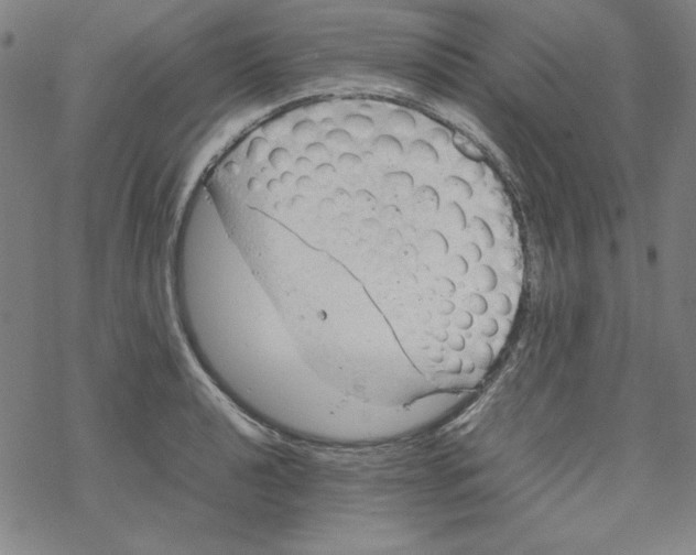 X0000067521040200605051849