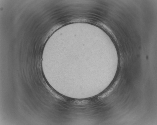 X0000067521041200605051849