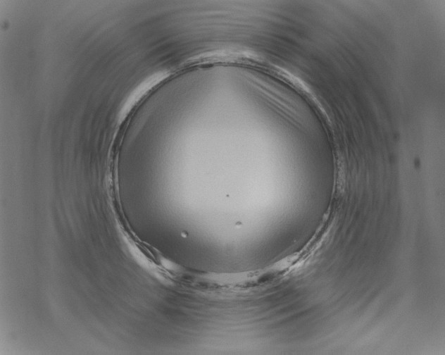 X0000067521042200605051849