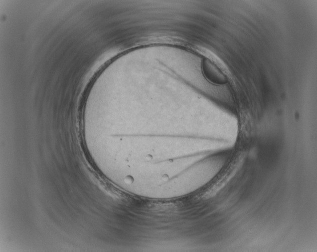 X0000067521043200605051849