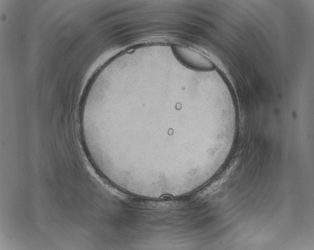 X0000067521045200605051849