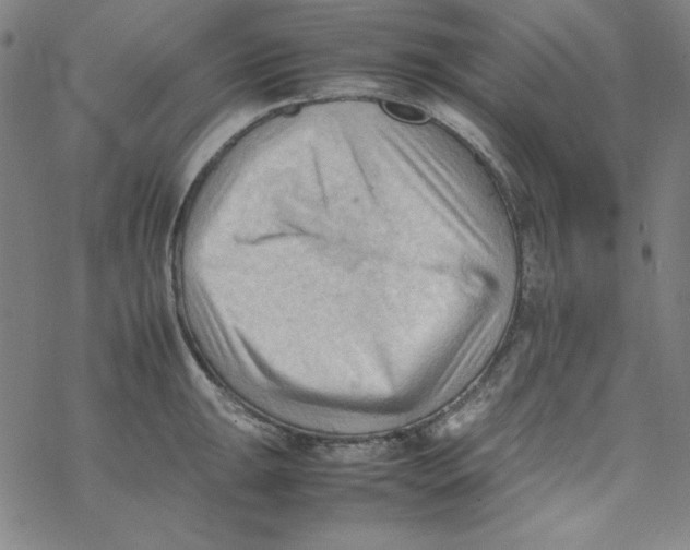 X0000067521047200605051849