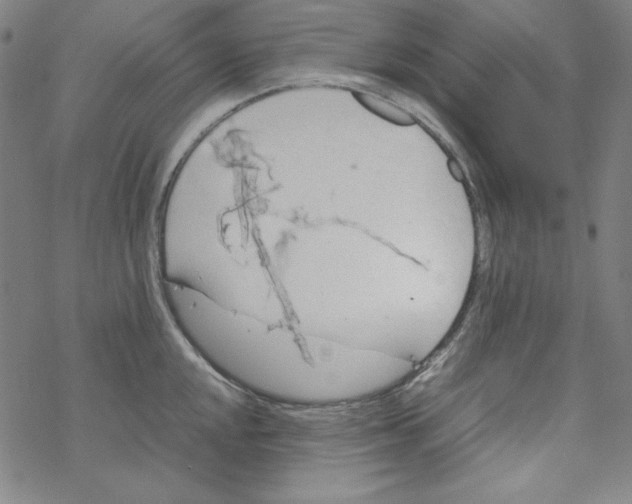 X0000067521048200605051849