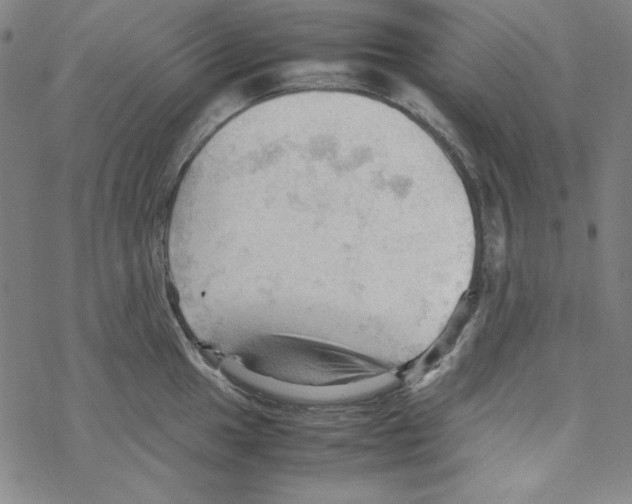 X0000067521049200605051849