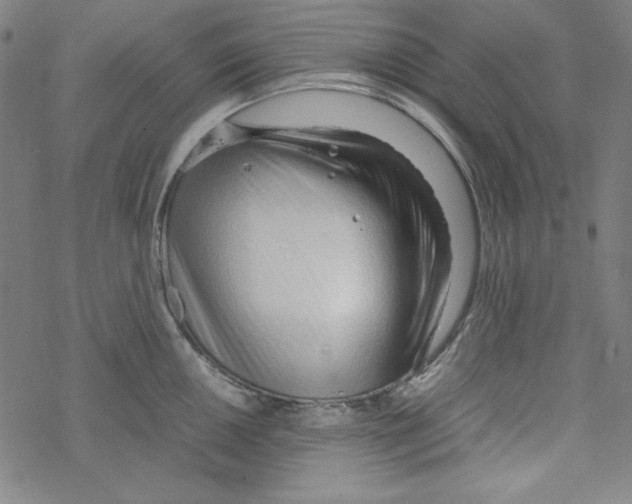 X0000067521050200605051849