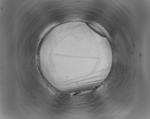 X0000067521051200605051849