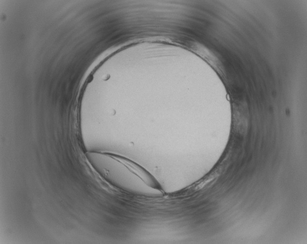 X0000067521052200605051849