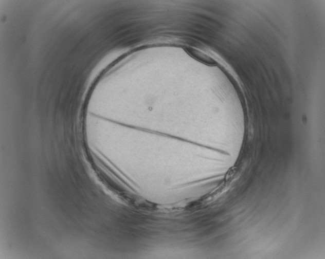 X0000067521053200605051849