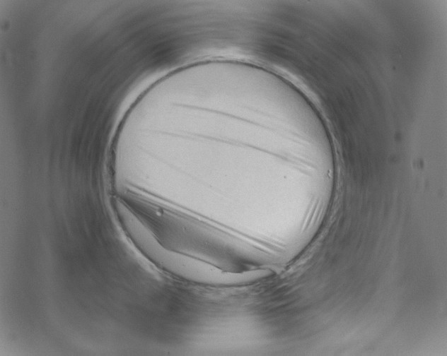 X0000067521056200605051850