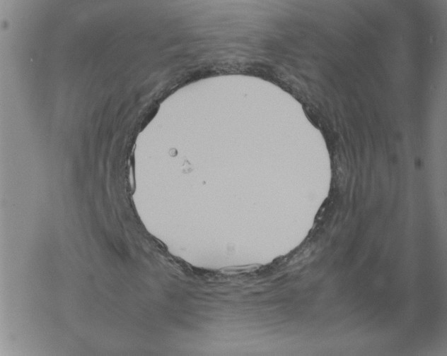 X0000067521057200605051849