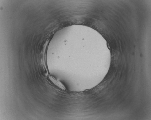 X0000067521058200605051849