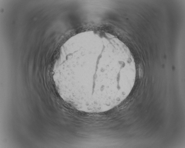 X0000067521059200605051849