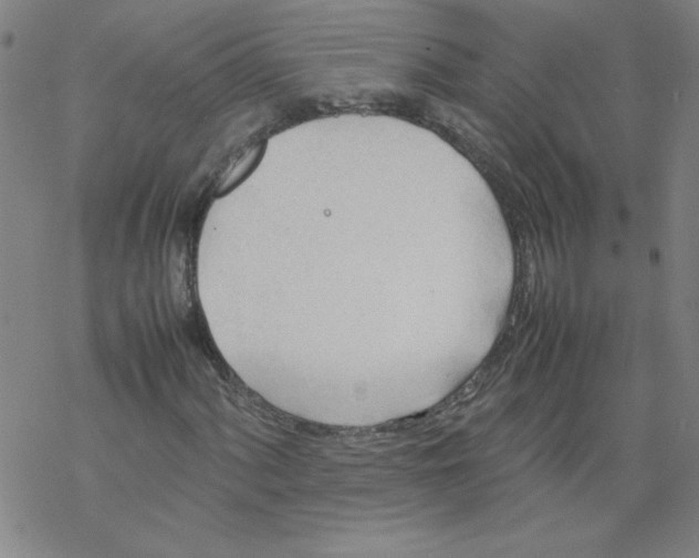 X0000067521060200605051849